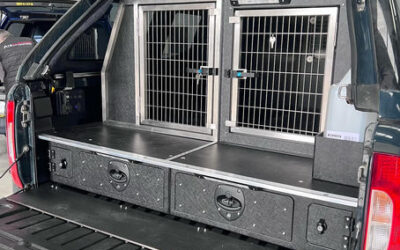 Different Ways Dog Boxes Can Be Effectively Utilised