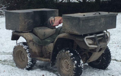 Winter Tips for Keeping Your Car Tidy When Transporting Dogs