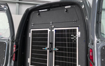 Four Reasons to Invest in a Custom Dog Van Conversion