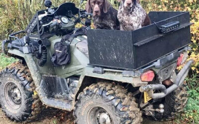 How to Transport Your Dog on a Quad Bike