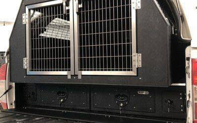 Why You Should Choose a Dog Box and Drawer Combo