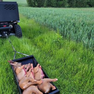 Deer Recovery / Deer Drag Sled Large, Harness and Lightweight Cover